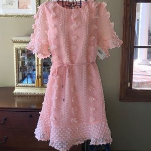 NWT Blush Pom Dress